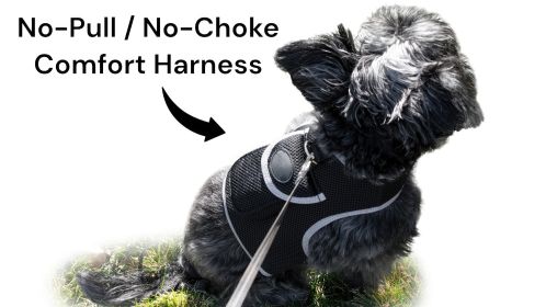 Waterproof GPS Pocket Dog Tracking Device w/ Realtime Remote Tracking Size:M