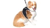 Pet Tracker Waterproof Mini Tracking System Realtime GPS Locator for Dogs Size:L