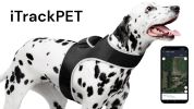 Pet Tracker Waterproof Mini Tracking System Realtime GPS Locator for Dogs Size:L