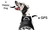 Portable GPS Tracking for Dog Realtime Waterproof Collar Pet Tracker Size:L