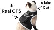 Portable GSM GPS Pet Tracker Dog Collar Waterproof Pet Location Finder Size:L