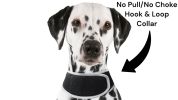 Portable GPS Tracking for Dog Realtime Waterproof Collar Pet Tracker Size:L