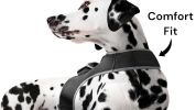 Mini Waterproof GPS Tracking Collars for Hunting Dogs w/ Tracking App Size:XS