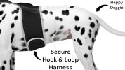 Portable GPS Tracking for Dog Realtime Waterproof Collar Pet Tracker Size:L