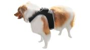 NEW Rechargeable GSM Cat Dog GPS Collar Tracking Device for Pet Safety Size:M