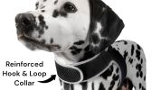 Mini Waterproof GPS Tracking Collars for Hunting Dogs w/ Tracking App Size:XS