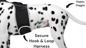 Mini Waterproof GPS Tracking Collars for Hunting Dogs w/ Tracking App Size:XS