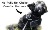 Mini Waterproof GPS Tracking Collars for Hunting Dogs w/ Tracking App Size:XS