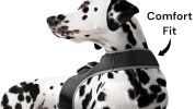 Long Range Tracking Pet Tracker GSM GPS Tracking Collars for Hunting Dogs Size:M