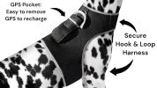 Mini Waterproof GPS Tracking Collars for Hunting Dogs w/ Tracking App Size:XS