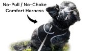 Portable GPS Tracking for Dog Realtime Waterproof Collar Pet Tracker Size:L