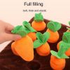 New Crystal velvet dog toys bite-resistant; sounding bite toys Amazon explosions cross-border dog toy cat toy