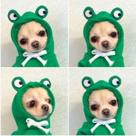 Cute Fruit Dog Clothes For Small Dogs Hoodies Winter Warm Fleece Pet Clothing Puppy Cat Costume Coat For French Chihuahua Outfit (Option: 5 Style-XS)