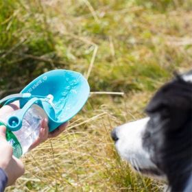 20 OZ Pet Water Bottle Leaf Design (Color: Blue)