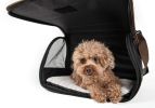 Airline Approved Folding Zippered Casual Pet Carrier