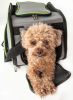 Airline Approved Sky-Max Modern Collapsible Pet Carrier